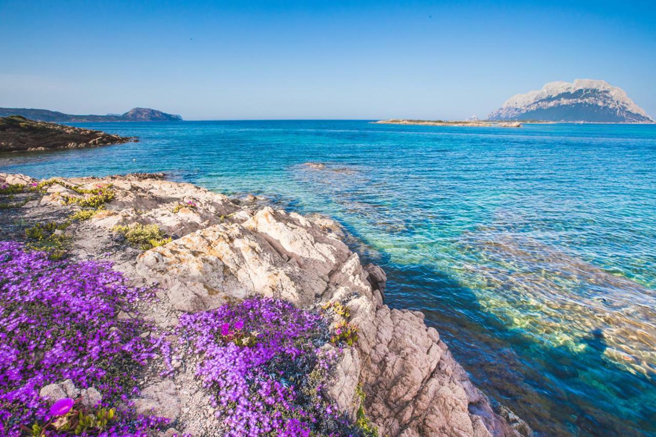 Hotel il Faro di Molara Porto San Paolo  Esterno foto